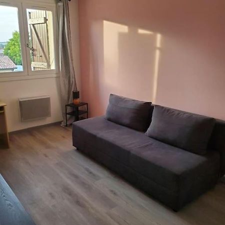 Appartement Moderne Et Equipe LʼIsle-Jourdain エクステリア 写真